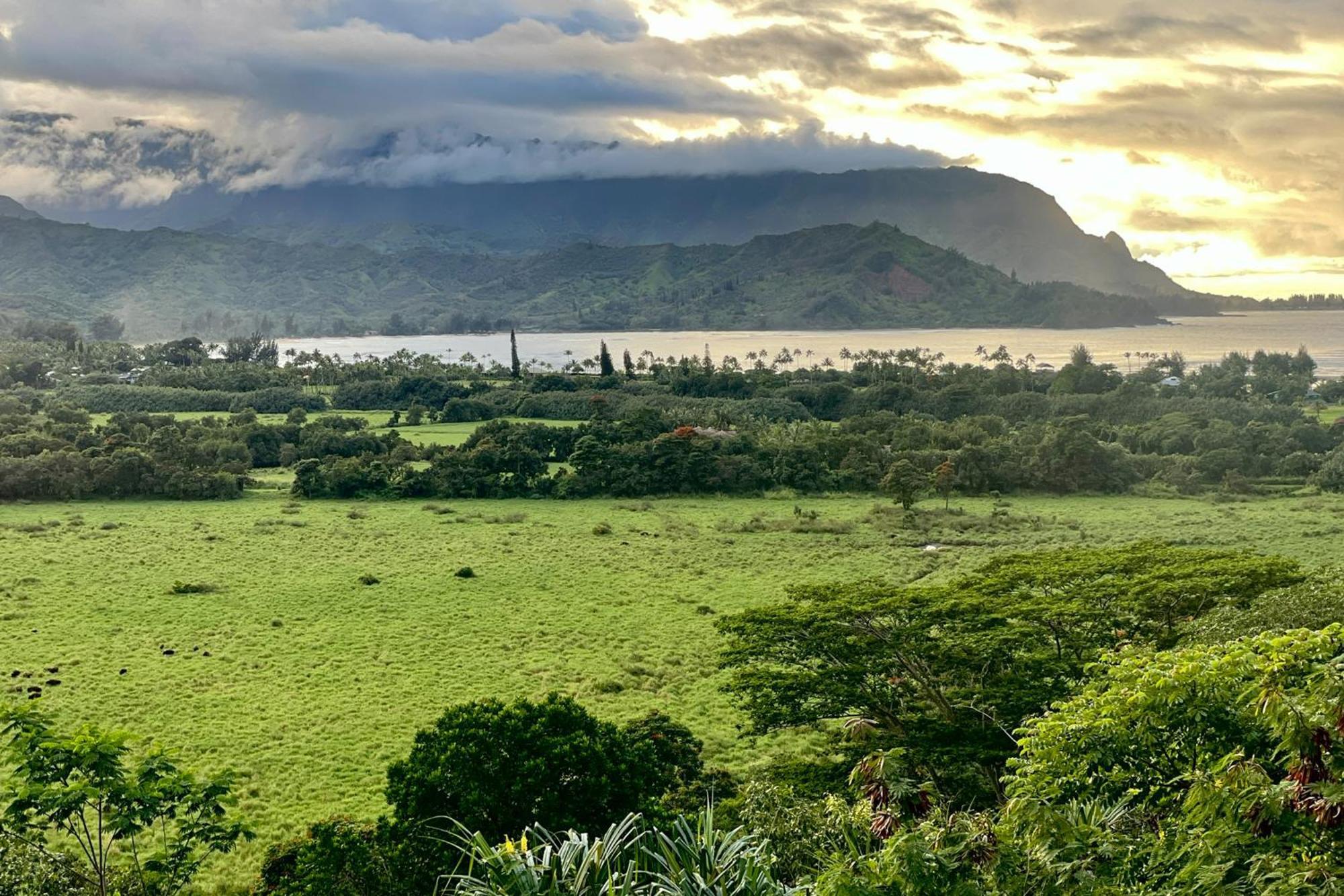 Villa View House Tower! Princeville Esterno foto